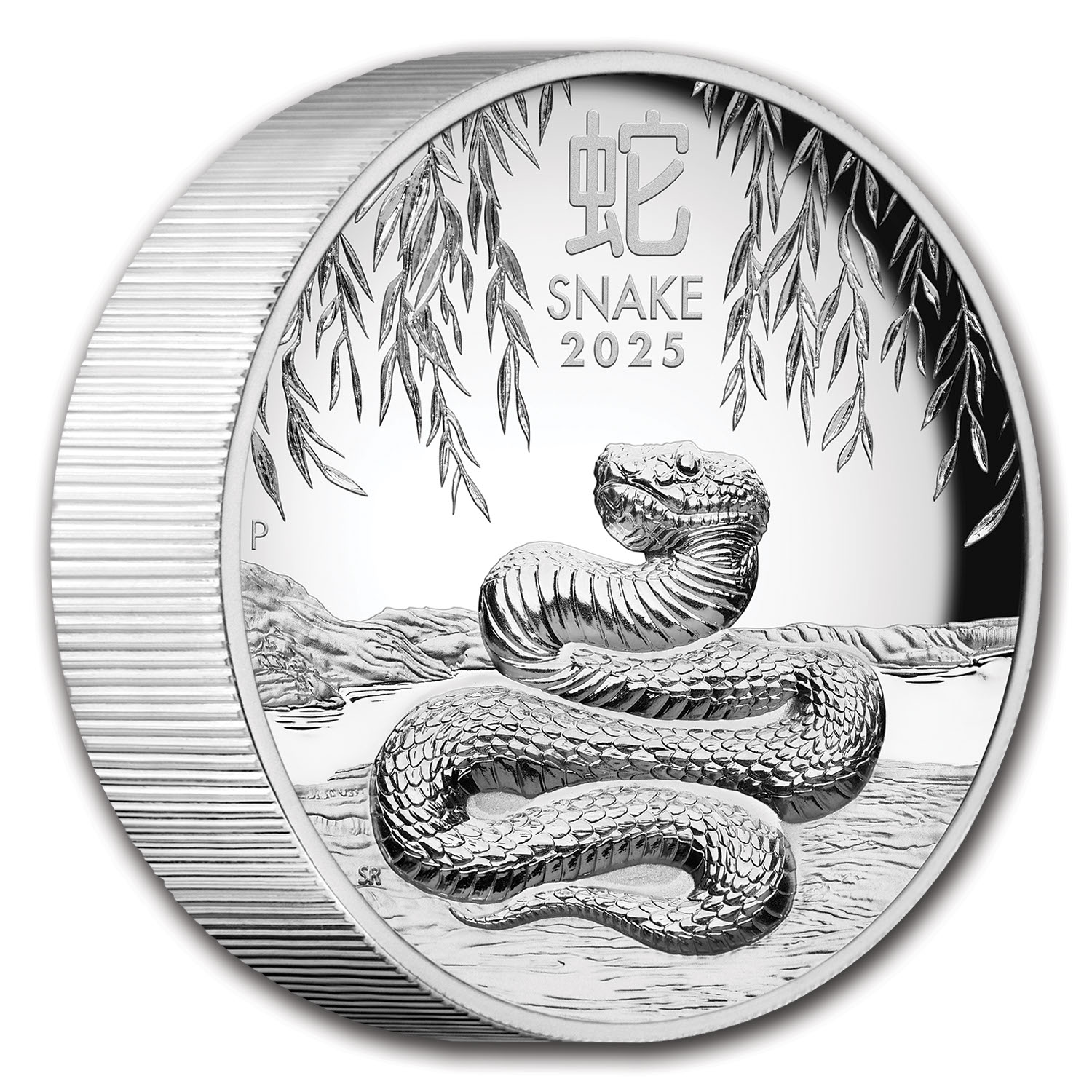 2025 Australia 5 oz Silver Lunar Snake Proof (HR, w/Box & COA) | eBay